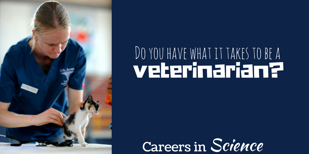 Careers in Science: Veterinarian – The LearnEd Teacher