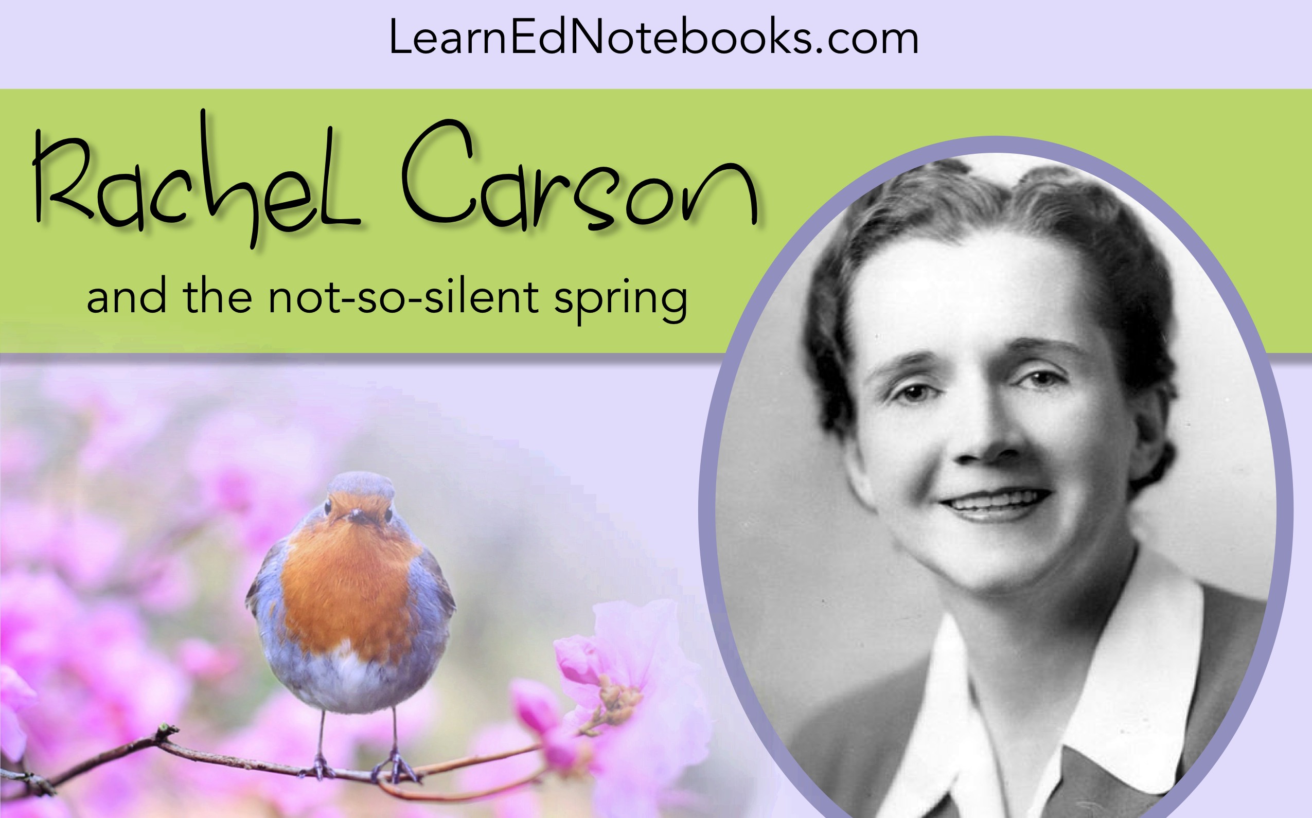 look up pictures of rachel carson