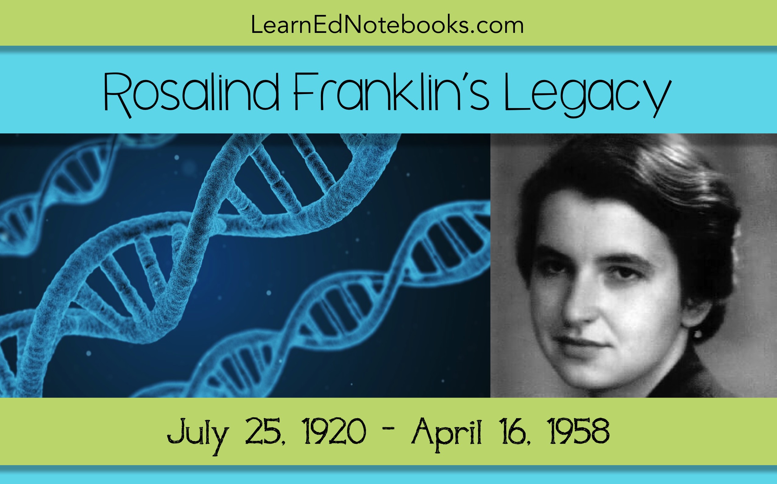 Rosalind Franklins Legacy The Learned Teacher